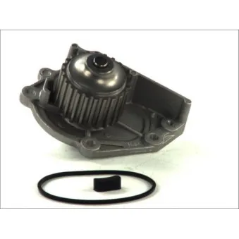 Pompe à eau THERMOTEC D1K006TT
