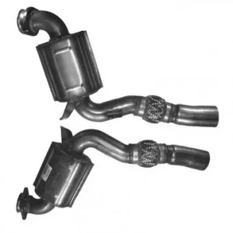 Catalyseur BM CATALYSTS BM80250H