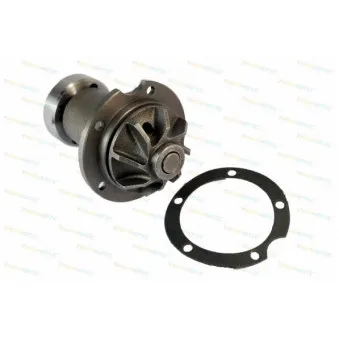 Pompe à eau THERMOTEC D1M006TT
