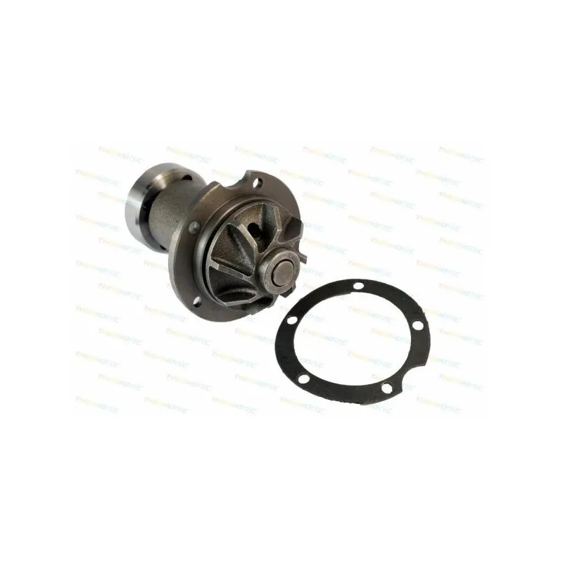 Pompe à eau THERMOTEC D1M006TT