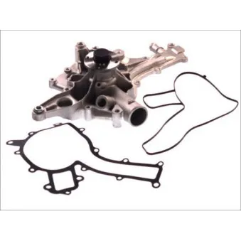 Pompe à eau THERMOTEC D1M019TT