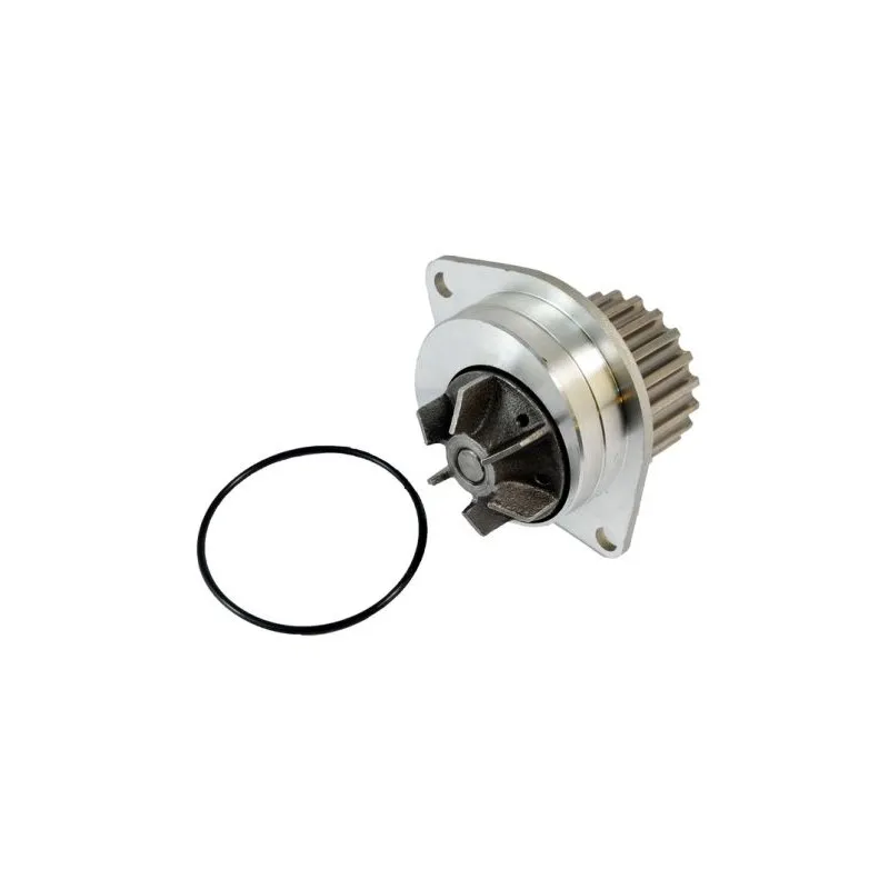 Pompe à eau THERMOTEC D1P019TT