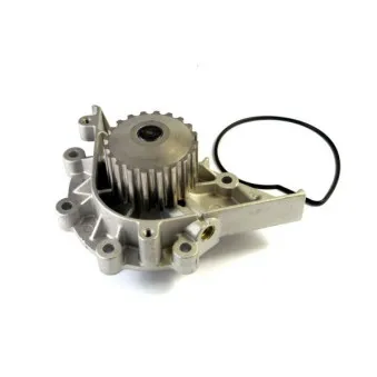 Pompe à eau THERMOTEC D1P040TT