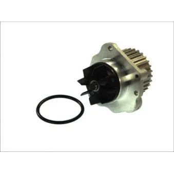 Pompe à eau THERMOTEC D1P044TT