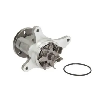 Pompe à eau THERMOTEC