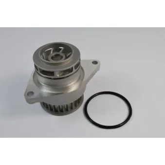 Pompe à eau THERMOTEC D1W024TT