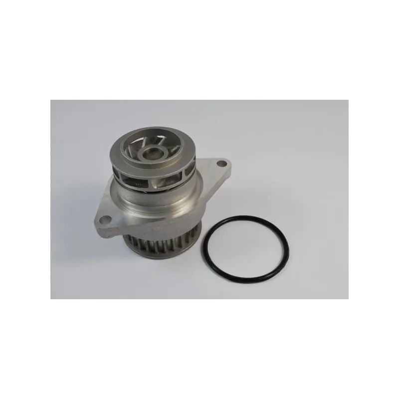 Pompe à eau THERMOTEC D1W024TT