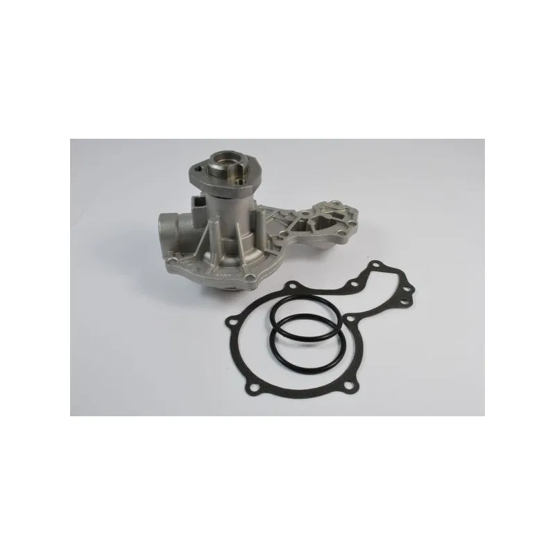 Pompe à eau THERMOTEC D1W027TT