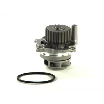 Pompe à eau THERMOTEC D1W028TT