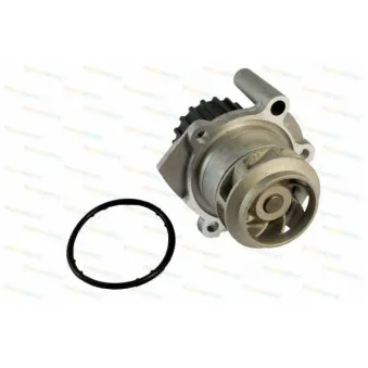 Pompe à eau THERMOTEC D1W038TT