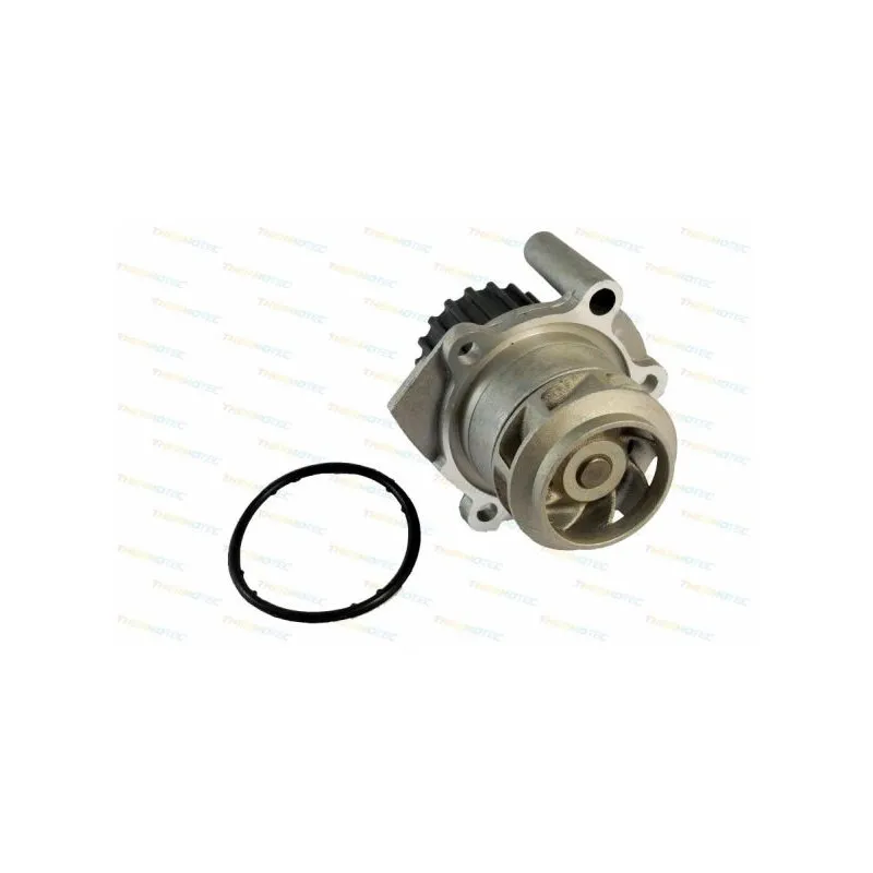 Pompe à eau THERMOTEC D1W038TT