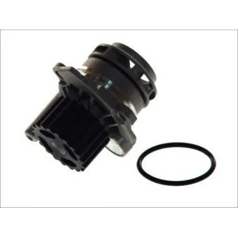 Pompe à eau THERMOTEC D1W039TT