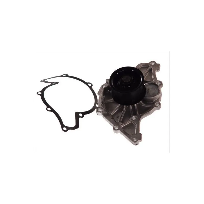 Pompe à eau THERMOTEC D1W047TT
