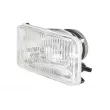 Optique, projecteur principal HELLA 1LB 003 177-511 - Visuel 1