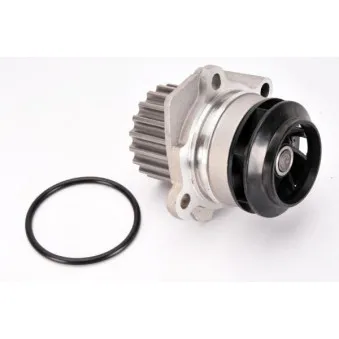Pompe à eau THERMOTEC D1W049TT