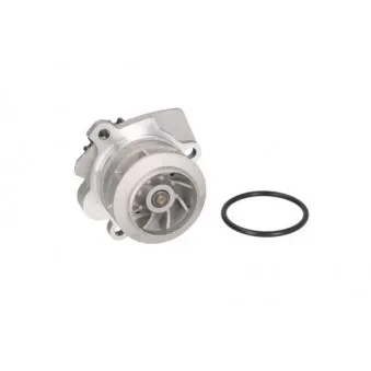 Pompe à eau THERMOTEC D1W058TT