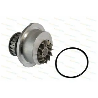 Pompe à eau THERMOTEC D1X009TT