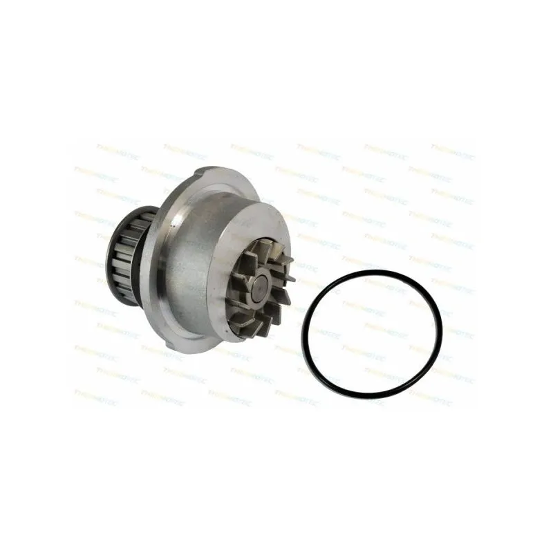 Pompe à eau THERMOTEC D1X009TT