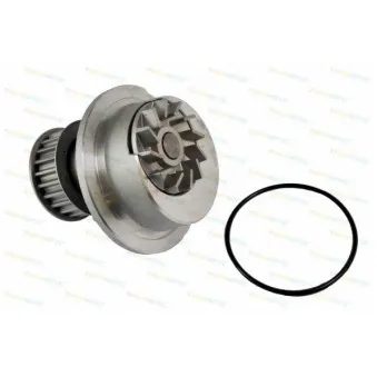 Pompe à eau THERMOTEC D1X024TT