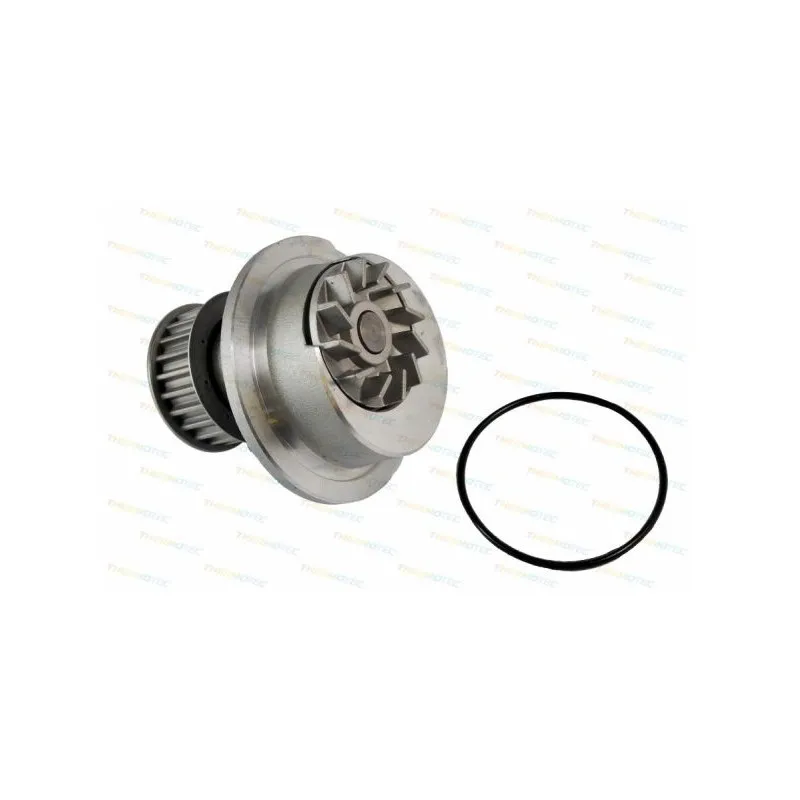 Pompe à eau THERMOTEC D1X024TT