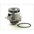 Pompe à eau THERMOTEC D1X028TT - Visuel 1