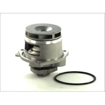 Pompe à eau THERMOTEC D1X028TT