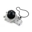 Pompe à eau THERMOTEC D1Y002TT - Visuel 1