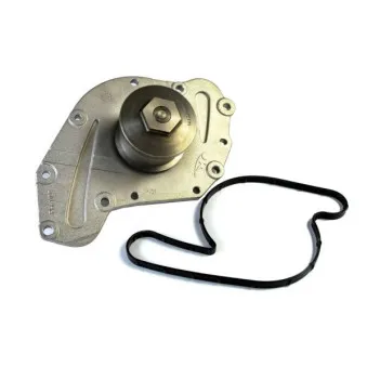 Pompe à eau THERMOTEC D1Y010TT