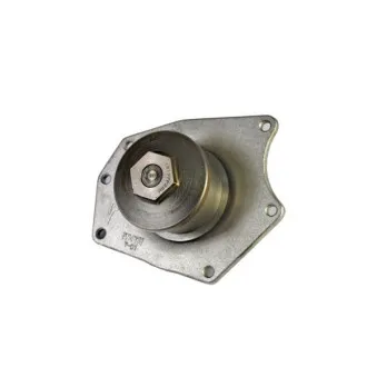 Pompe à eau THERMOTEC D1Y015TT