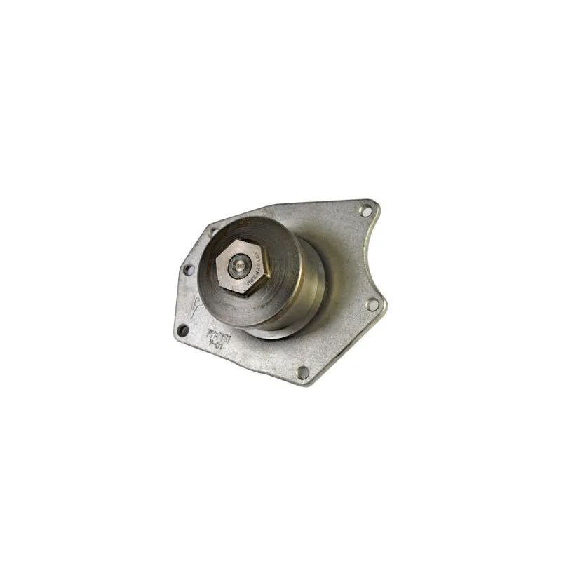 Pompe à eau THERMOTEC D1Y015TT