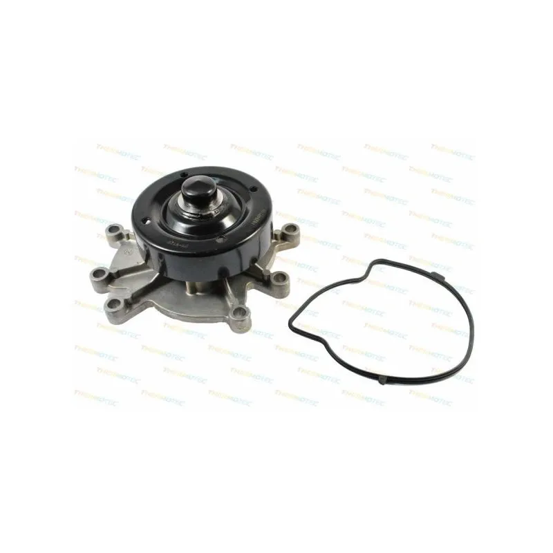 Pompe à eau THERMOTEC D1Y016TT