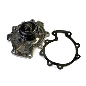 Pompe à eau THERMOTEC D1Y037TT