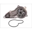 Pompe à eau THERMOTEC D1Y072TT - Visuel 1