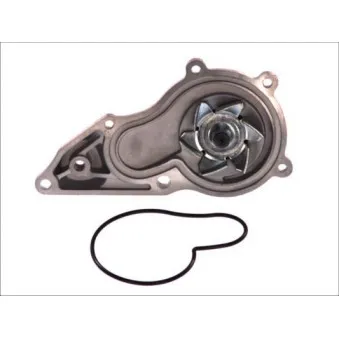Pompe à eau THERMOTEC D1Y072TT
