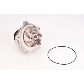 Pompe à eau THERMOTEC D1Y073TT