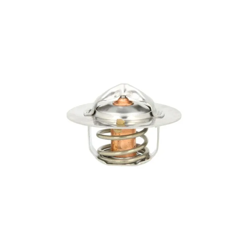Thermostat d'eau THERMOTEC D20301TT
