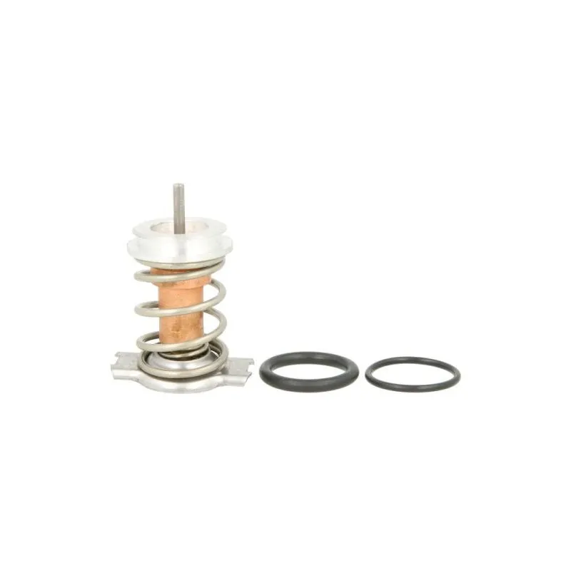 Boîtier du thermostat THERMOTEC D28001TT