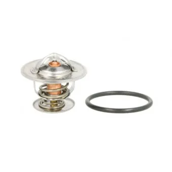 Thermostat d'eau THERMOTEC D2A001TT