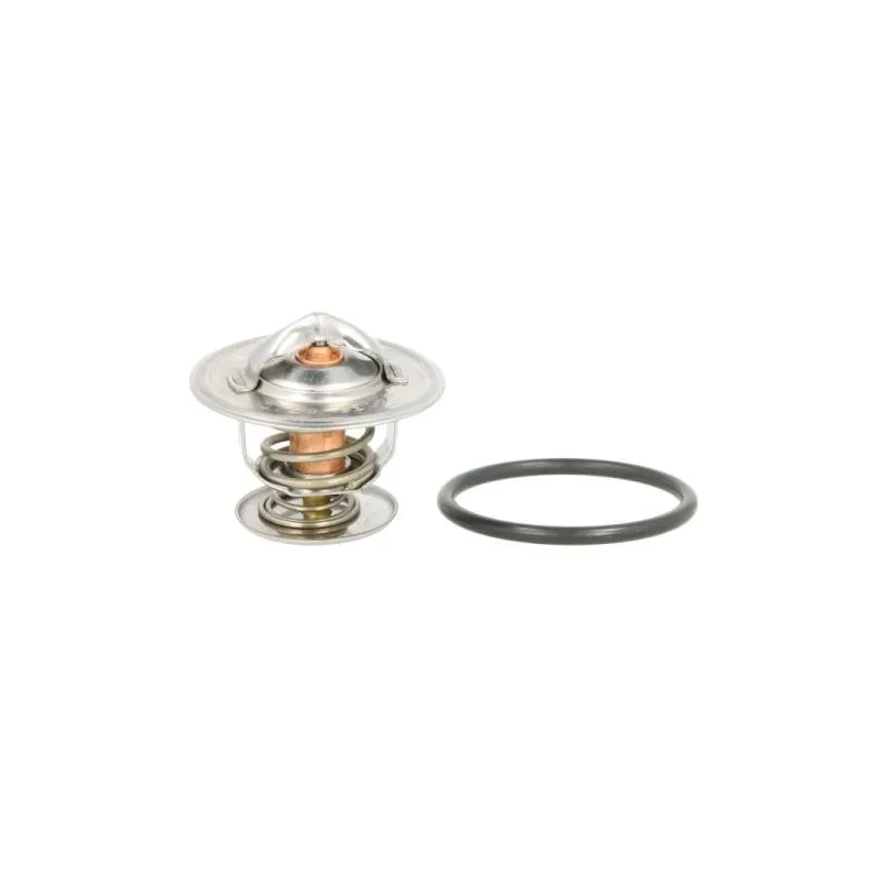 Thermostat d'eau THERMOTEC D2A001TT