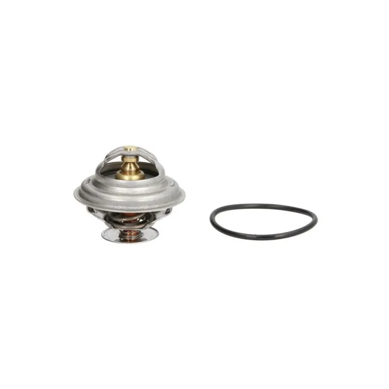 Thermostat d'eau THERMOTEC D2A003TT