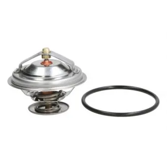 Thermostat d'eau THERMOTEC D2B001TT