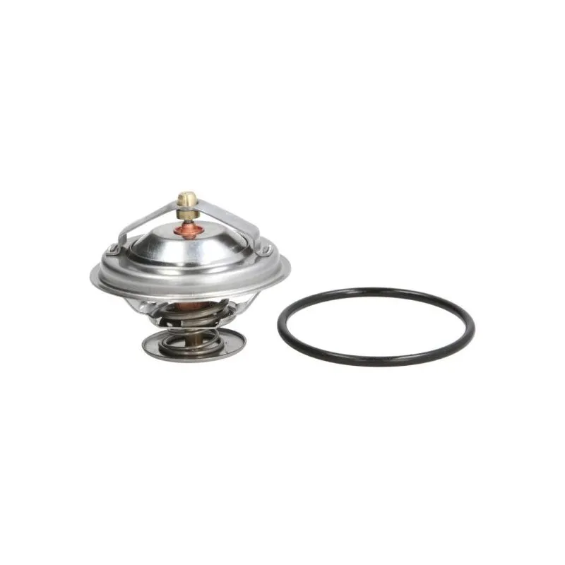 Thermostat d'eau THERMOTEC D2B001TT