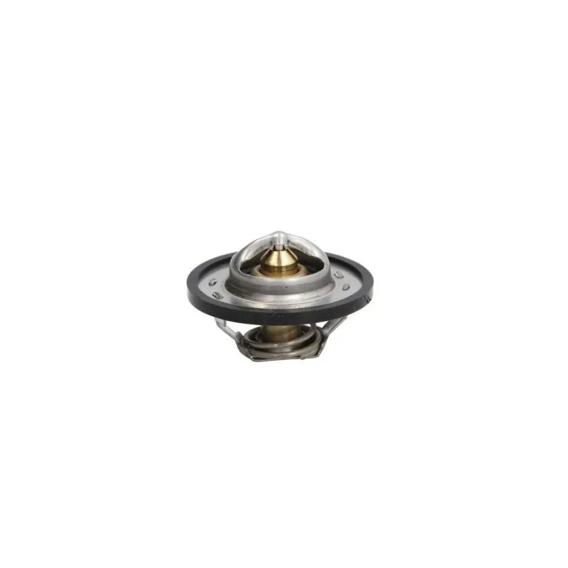 Thermostat d'eau THERMOTEC D2C001TT