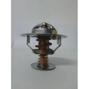Thermostat d'eau THERMOTEC D2CA002TT