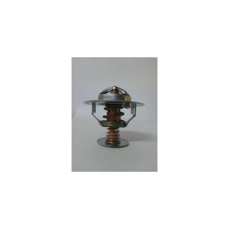 Thermostat d'eau THERMOTEC D2CA002TT