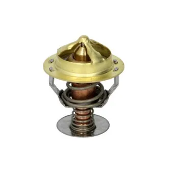 Thermostat d'eau THERMOTEC