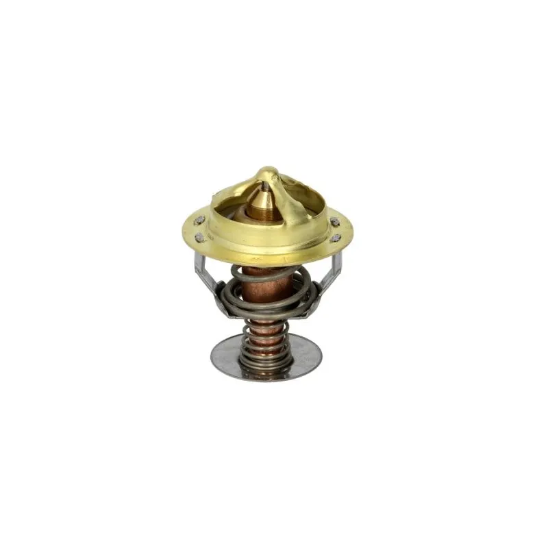 Thermostat d'eau THERMOTEC D2CU001TT