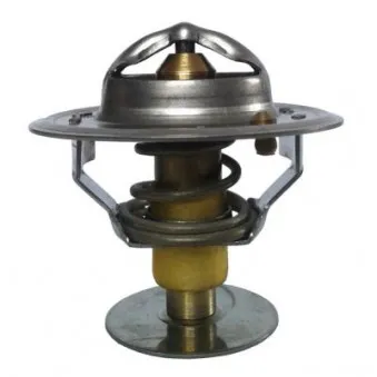 Thermostat d'eau THERMOTEC