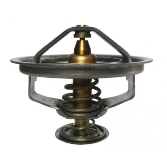 Thermostat d'eau THERMOTEC D2CU003TT