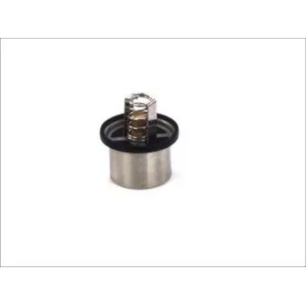Thermostat d'eau THERMOTEC D2DA001TT